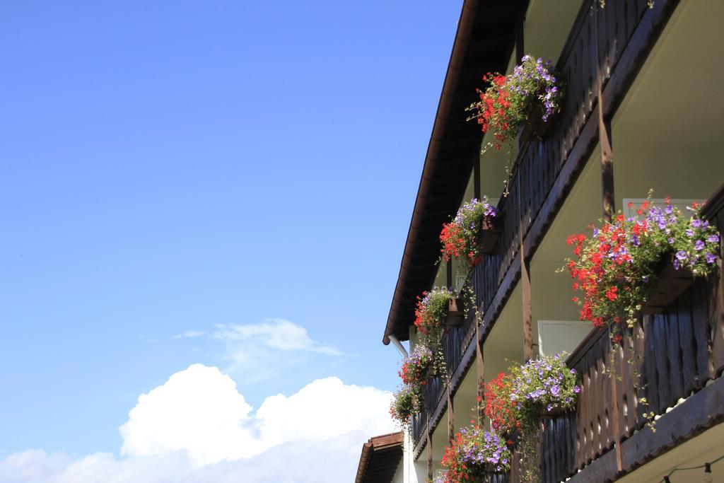 Hotel Alpenblick Berghof Halblech Rum bild